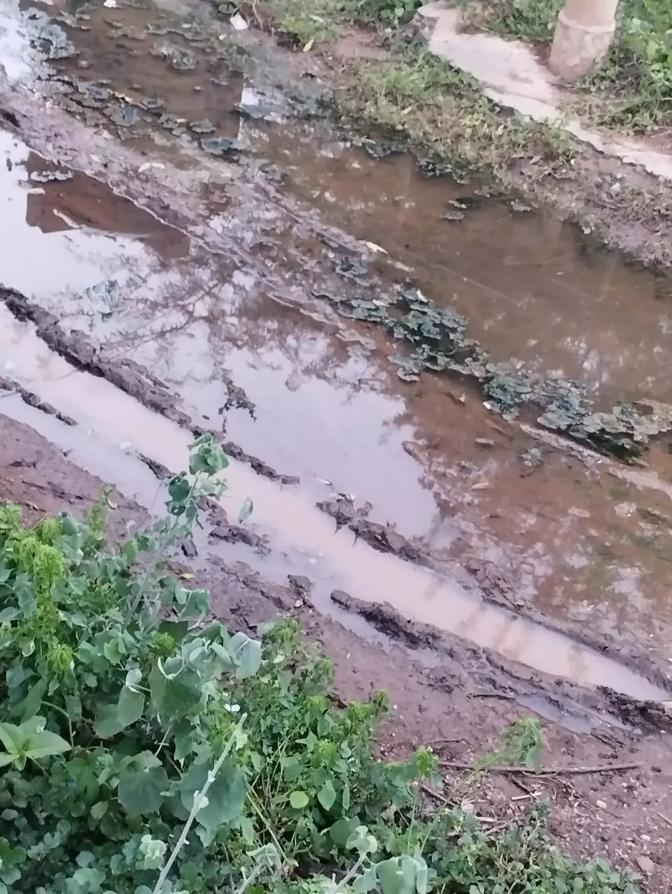 நீர்த்தேக்க தொட்டி அருகே தேங்கிய மழைநீர்