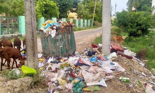 குப்பைகள் அகற்றப்படுமா?