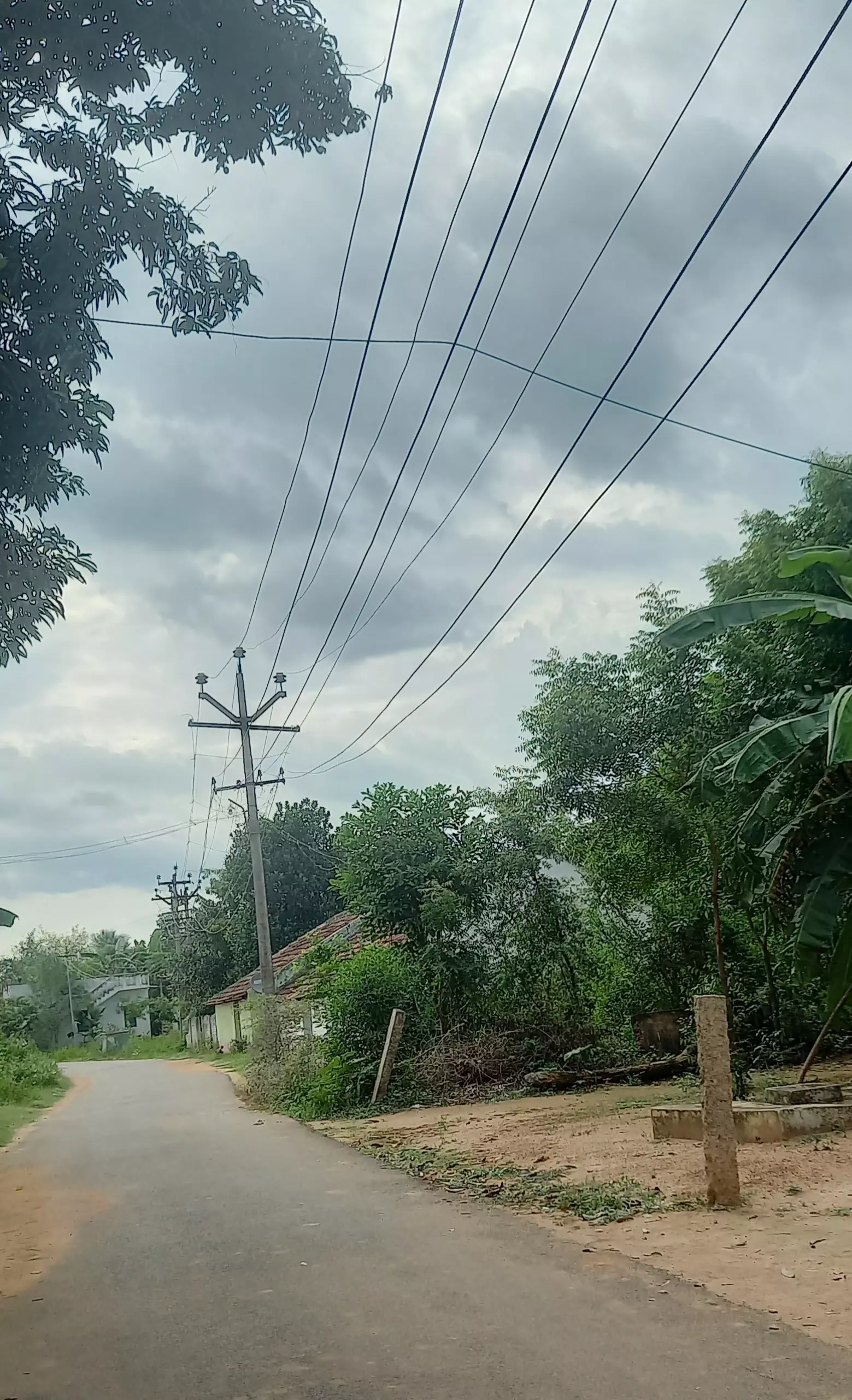 மின்கம்பி மீது உரசும் வயர்கள்