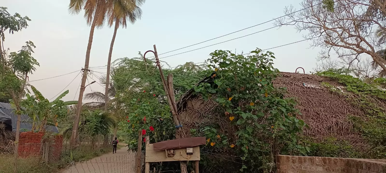 தாழ்வாக செல்லும் மின் கம்பிகள் தாழ்வாக செல்லும் மின் கம்பிகள்