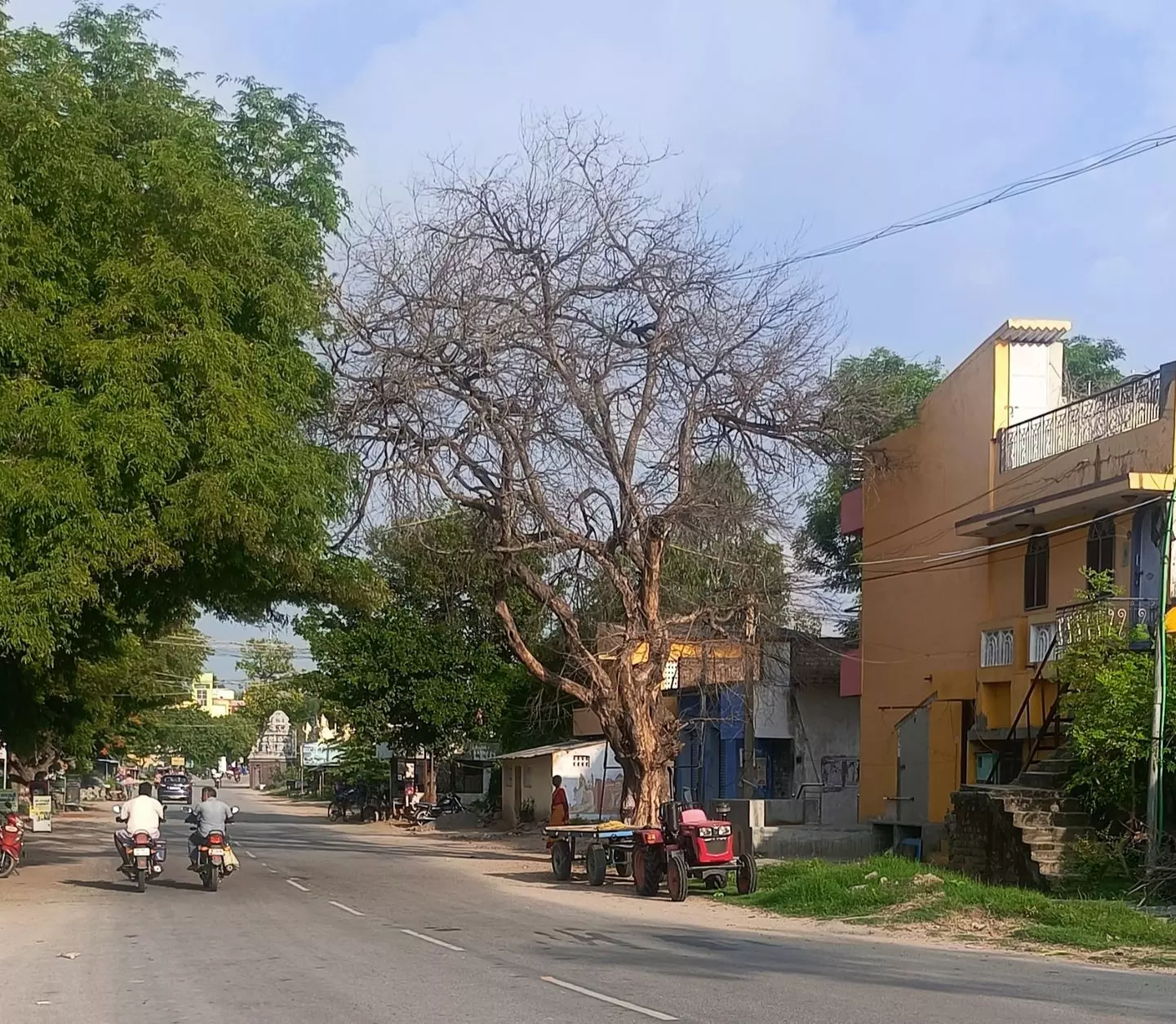 மரத்ைத அகற்ற ேவண்டும்