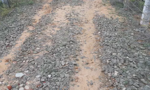 தார் சாலை அமைக்க கோரிக்கை