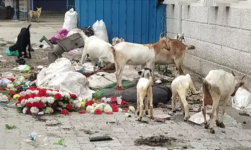 சாலையில் குப்பைகள் கொட்டுவதை தடுக்க ேவண்டும் சாலையில் குப்பைகள் கொட்டுவதை தடுக்க ேவண்டும்