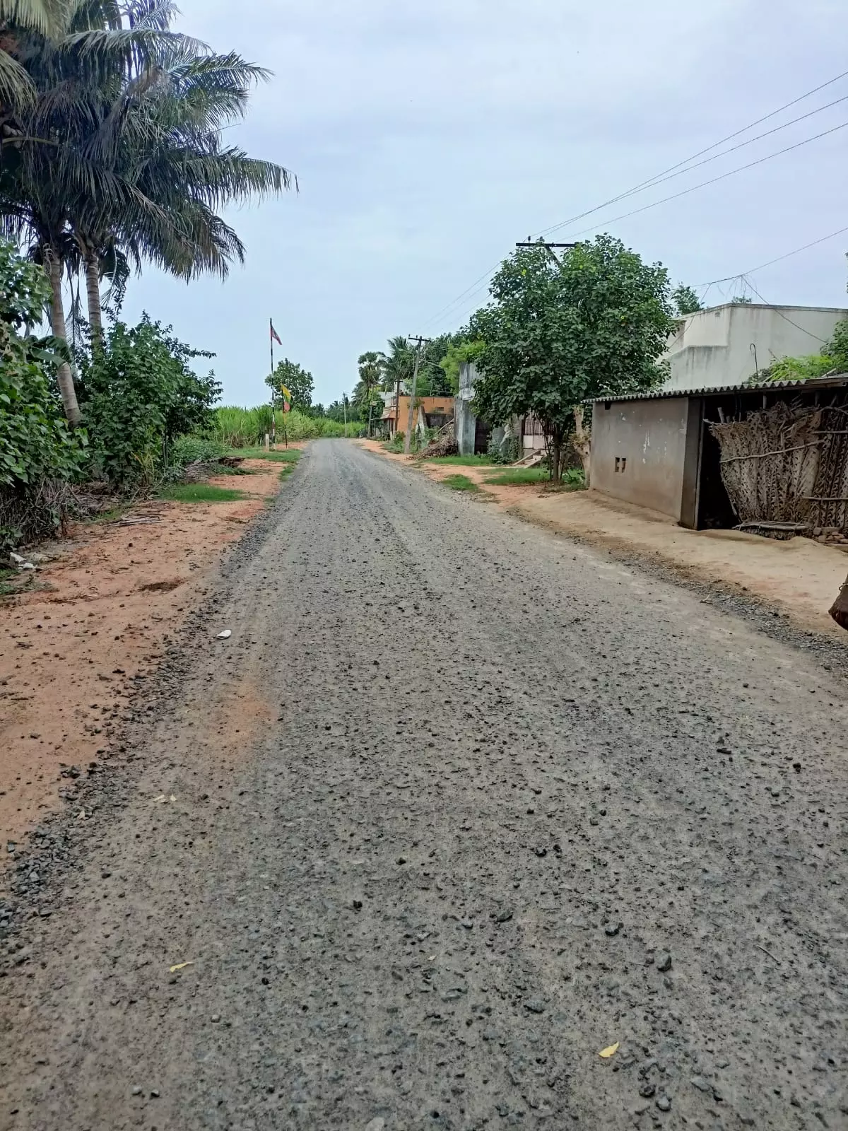 சாலையும் போடல... பஸ்சும் வரல...