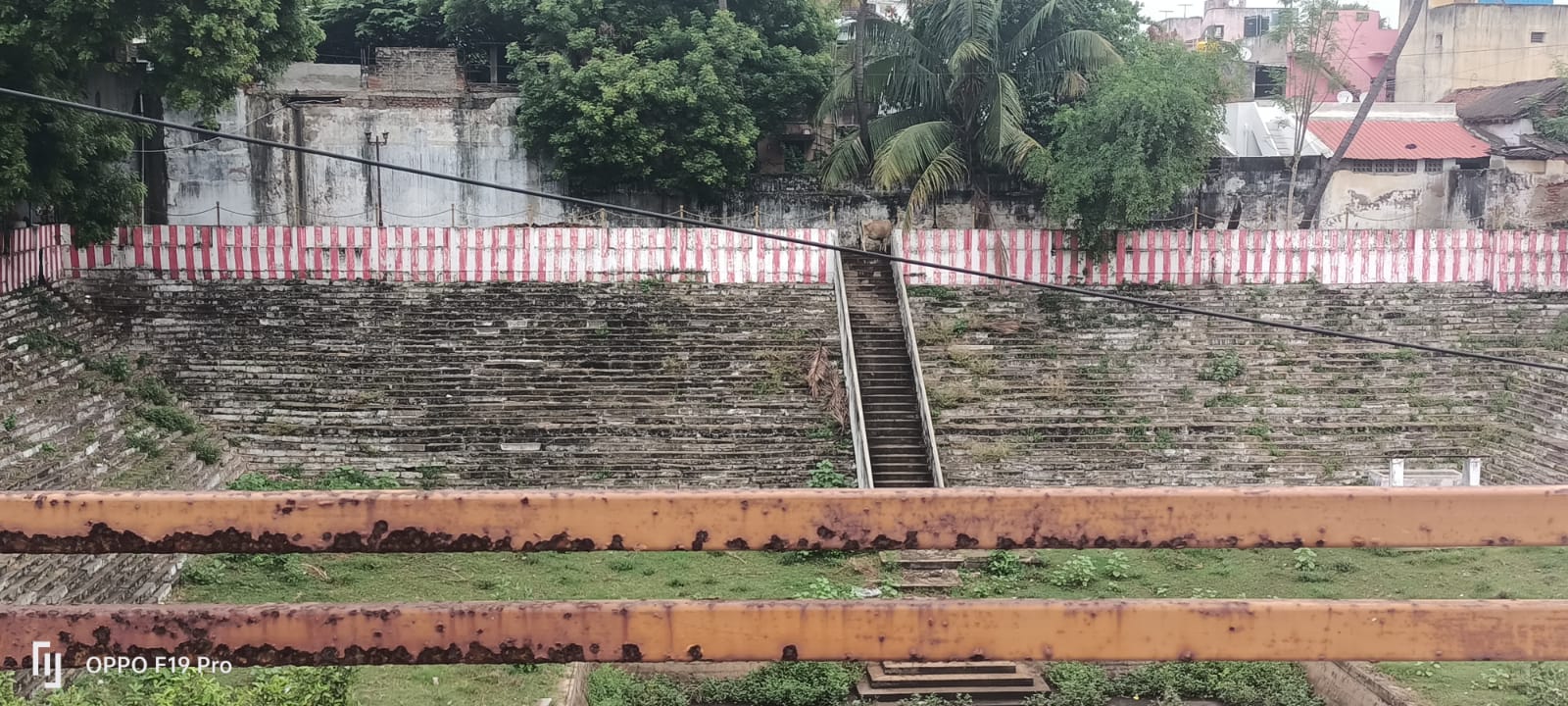 குளம் தூர்வாரப்படுமா?