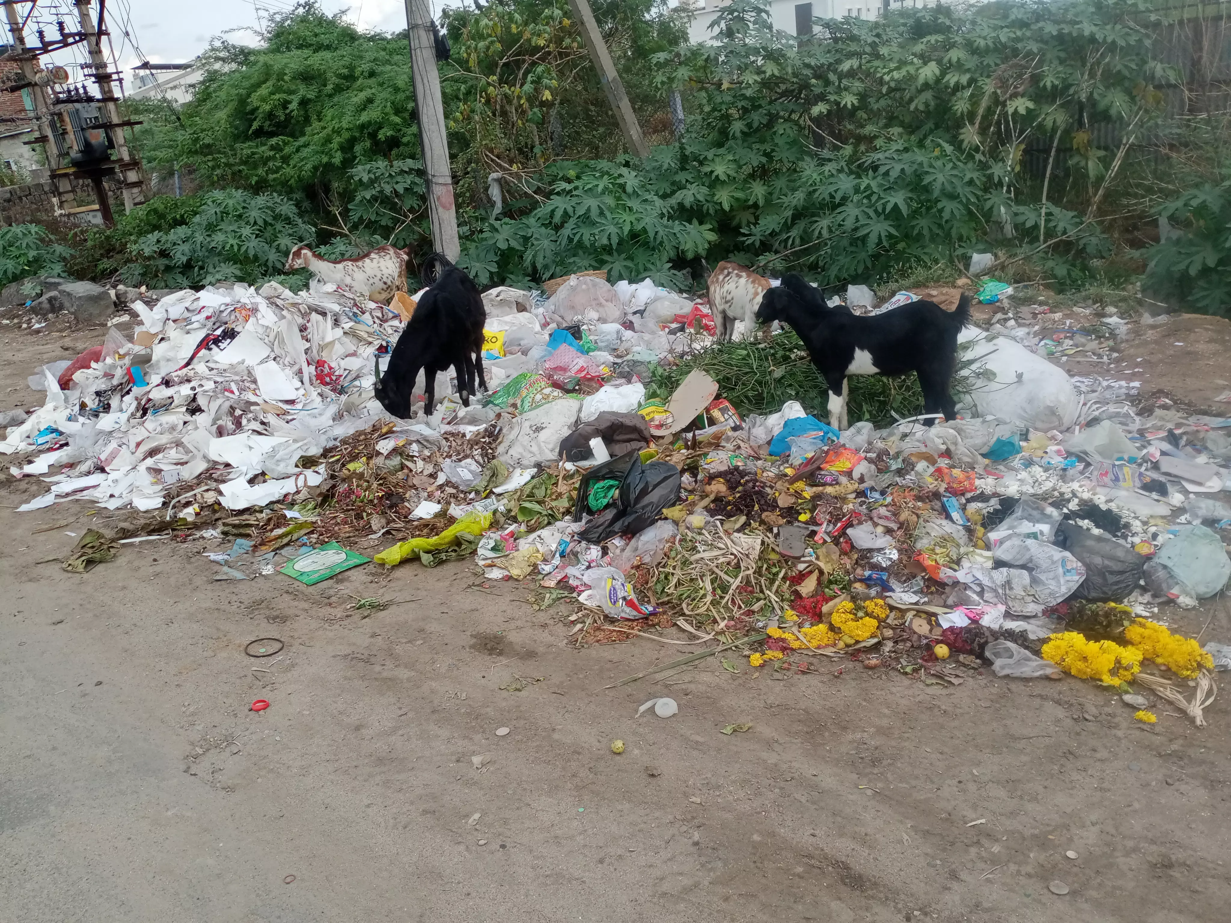 குவிந்து கிடக்கும் குப்பைகள்