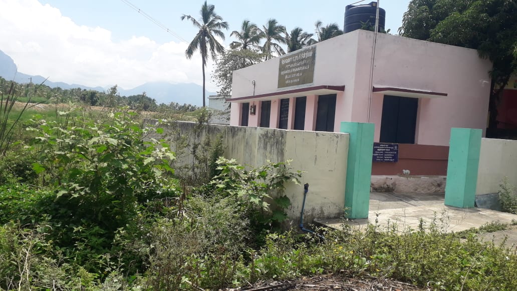 புதர்களை அகற்ற வேண்டும்