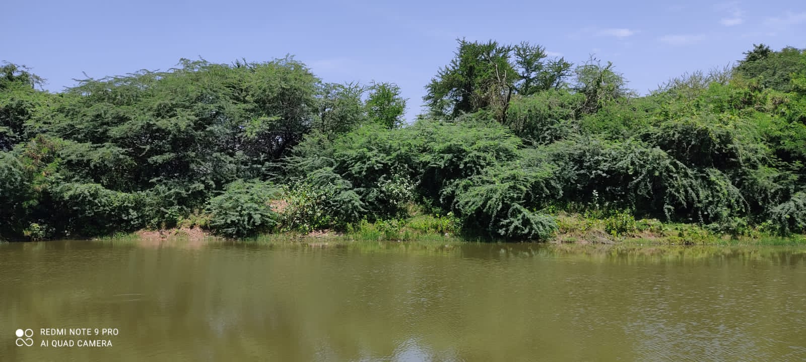 குளம் தூர்வாரப்படுமா?
