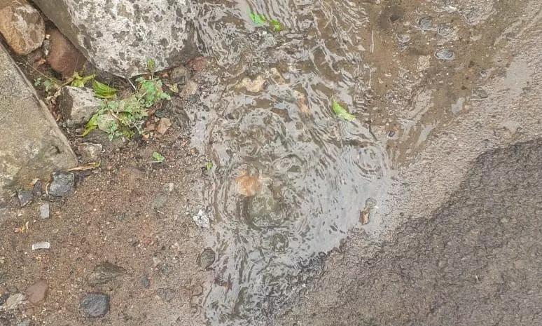 குடிநீர் குழாயில் உடைப்பு