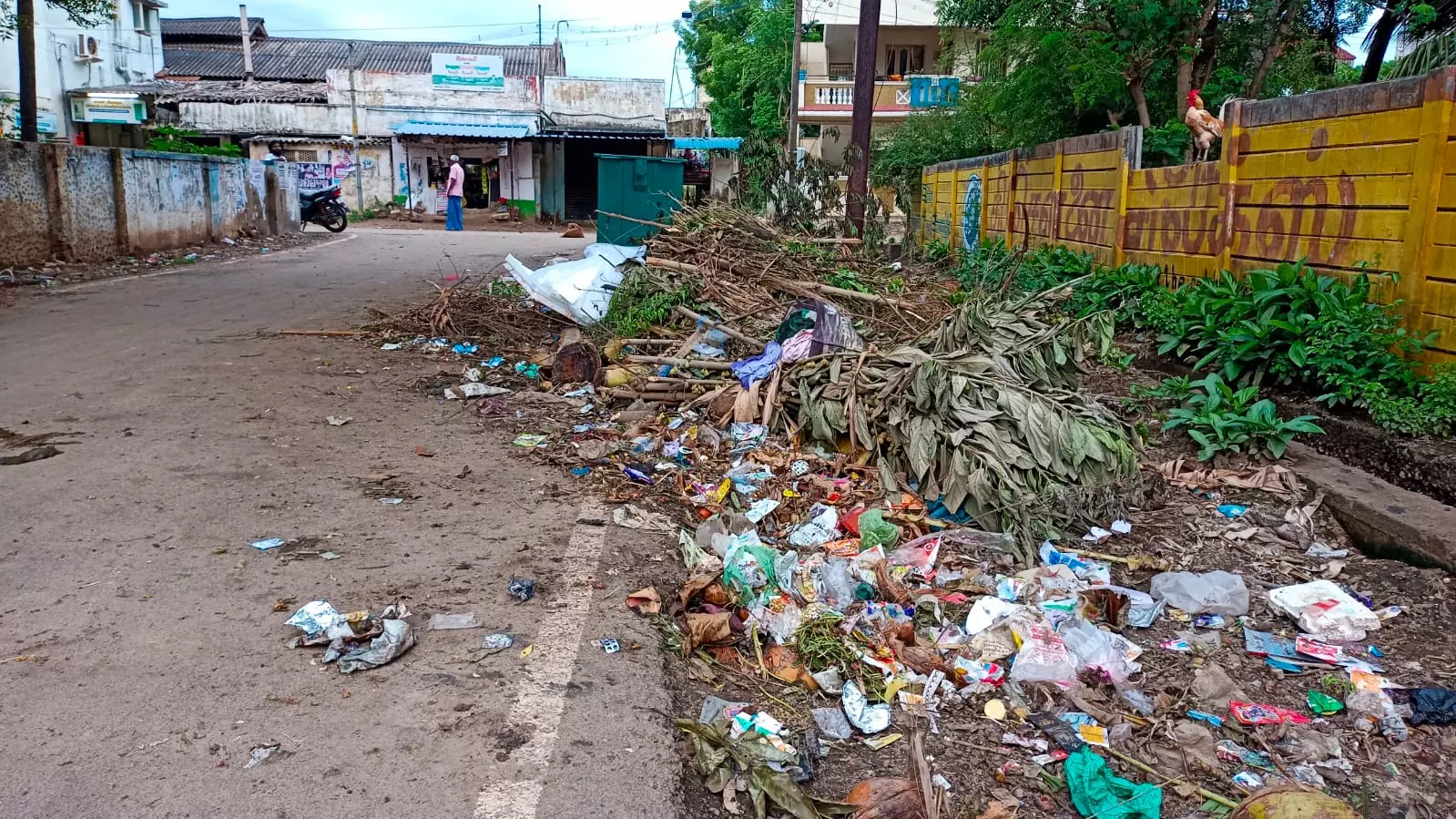 குப்பைகள் அகற்றப்படுமா?