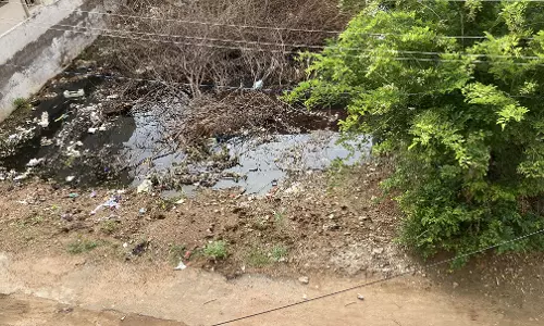 சுகாதார சீர்கேடு சுகாதார சீர்கேடு