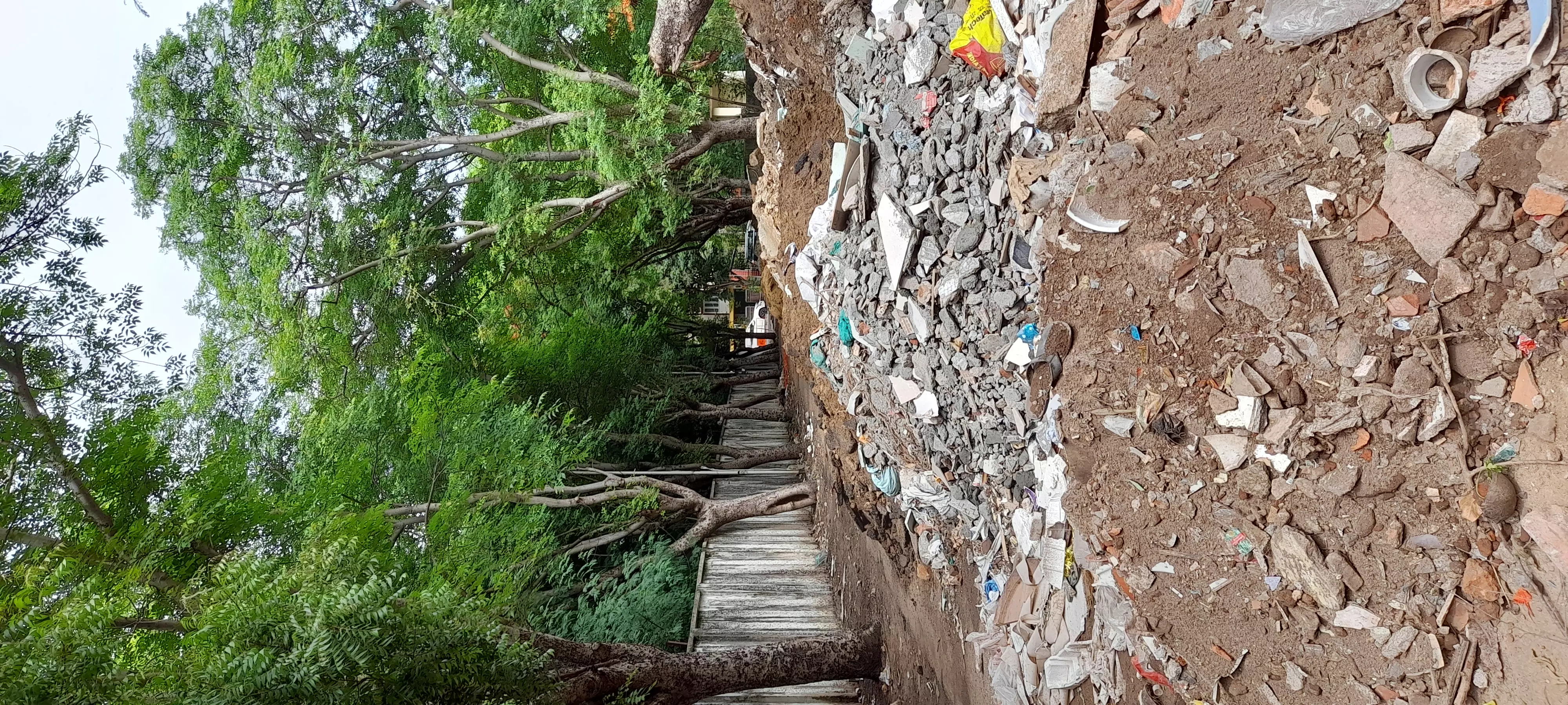 சாலையில் குப்பைகள்