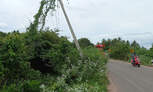 சாய்ந்த நிலையில் உள்ள மின்கம்பம்