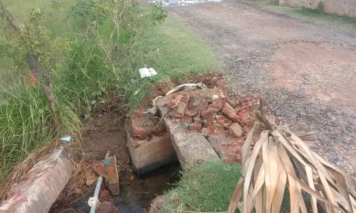 தடுப்புச்சுவர் இன்றி காணப்படும் பாலம்