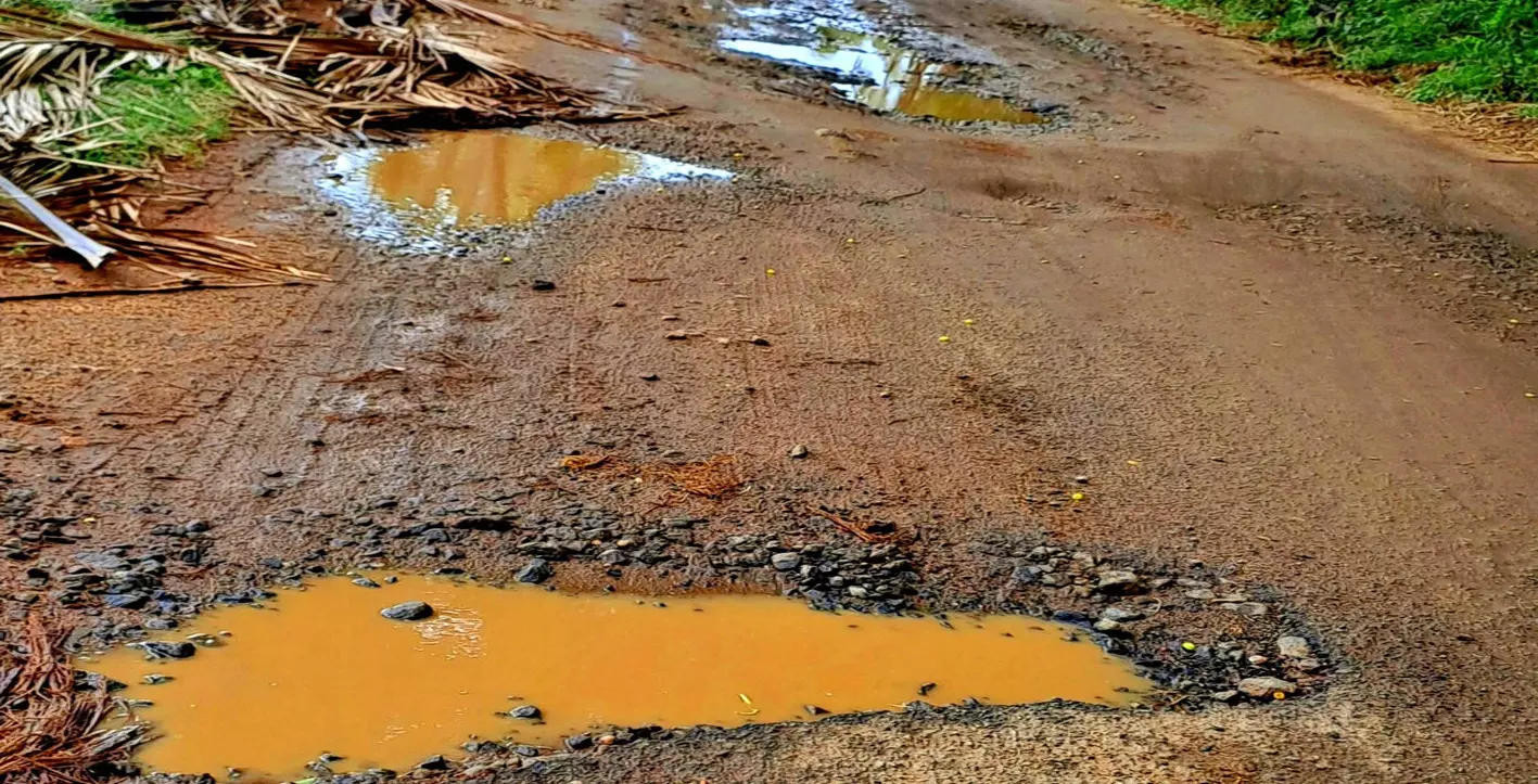 குண்டும் குழியுமான சாலை குண்டும் குழியுமான சாலை