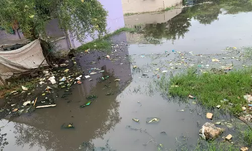 தேங்கி நிற்கும் கழிவுநீர் தேங்கி நிற்கும் கழிவுநீர்