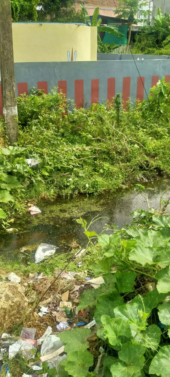 அசுத்தமான தண்ணீர்