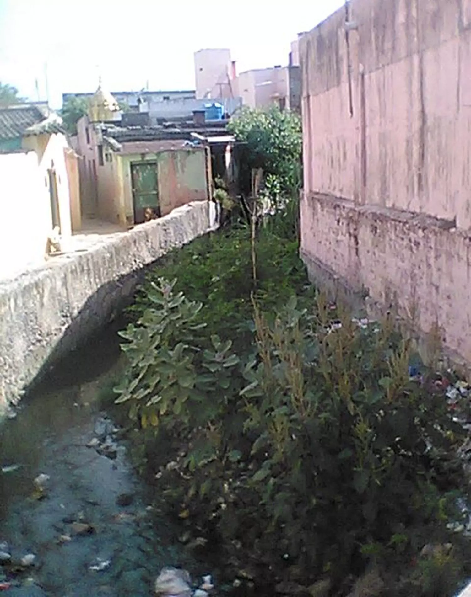 கால்வாயை தூர்வார வேண்டும்