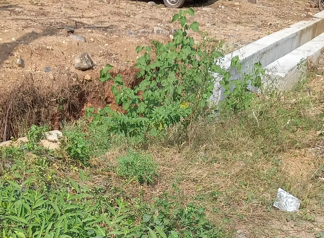 குண்டும்-குழியுமான ரோடு