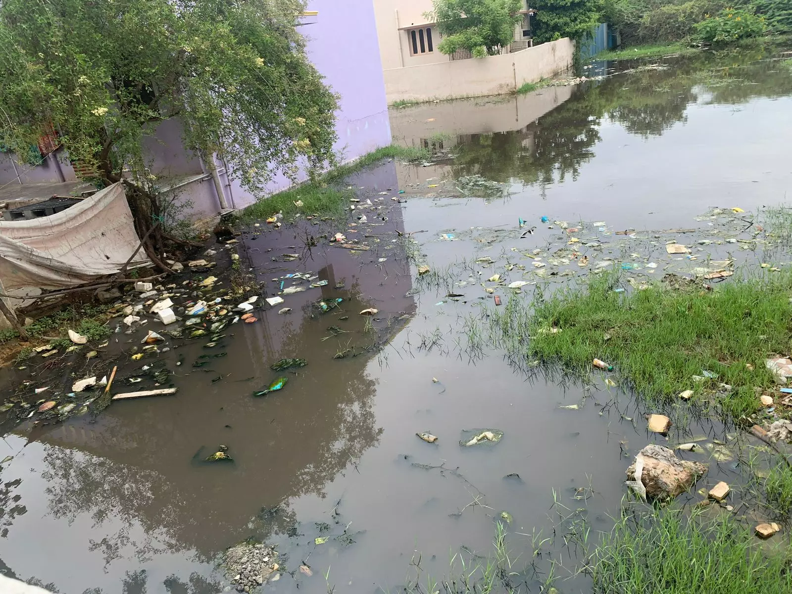 தேங்கி நிற்கும் கழிவுநீர் தேங்கி நிற்கும் கழிவுநீர்