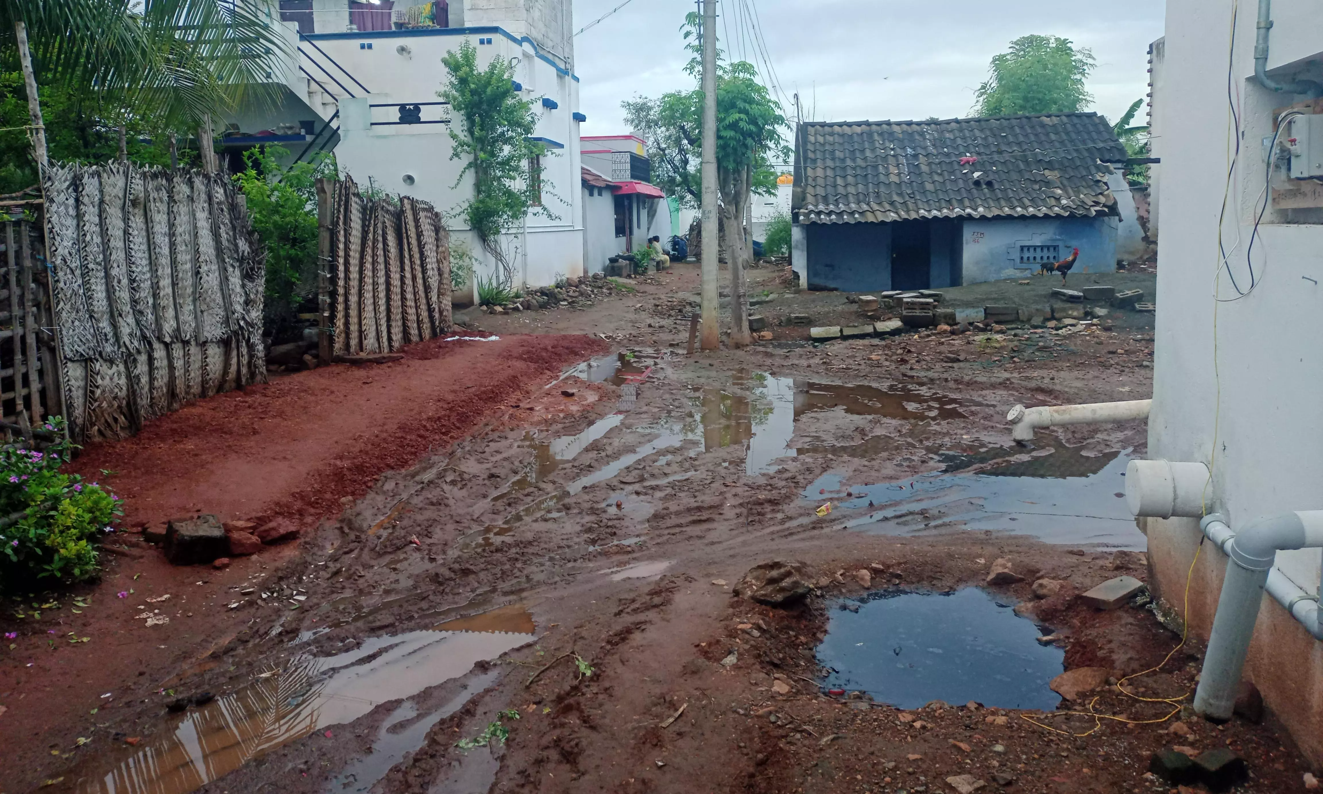 சிமெண்ட் சலை அமைத்து தரப்படுமா?