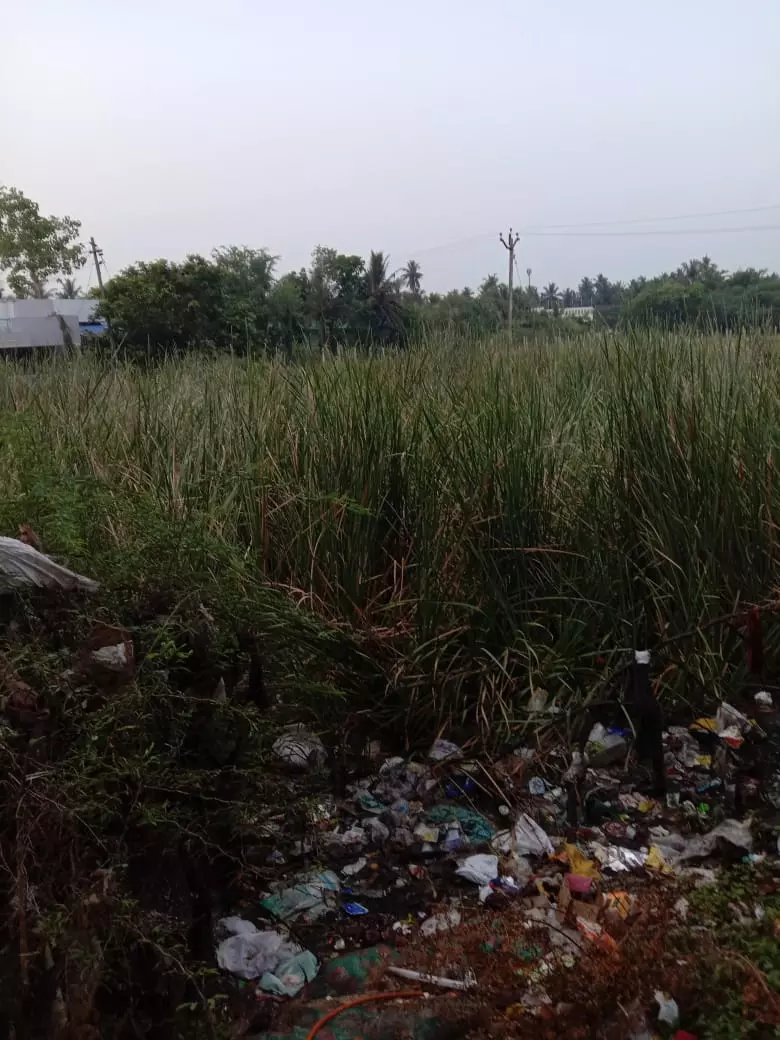 குப்பைகள் அகற்றப்படுமா? குப்பைகள் அகற்றப்படுமா?