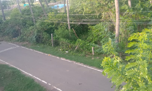 தாழ்வாக செல்லும் மின்கம்பிகள் தாழ்வாக செல்லும் மின்கம்பிகள்