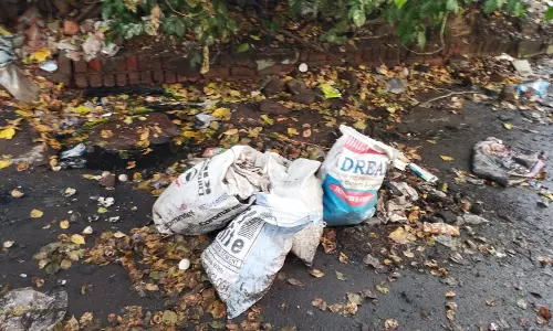 அகற்றப்படாமல் இருக்கும் குப்பைகள்