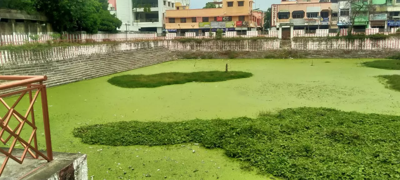 துர்நாற்றம் வீசும் குளம்