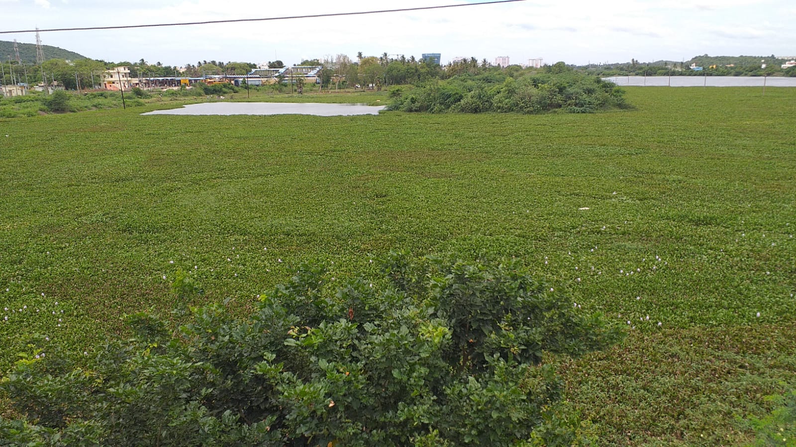 ஏரியை காணவில்லை