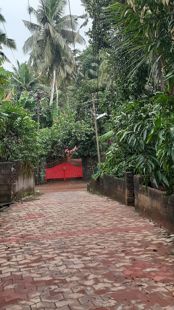 தாழ்வாக செல்லும் மின்கம்பி