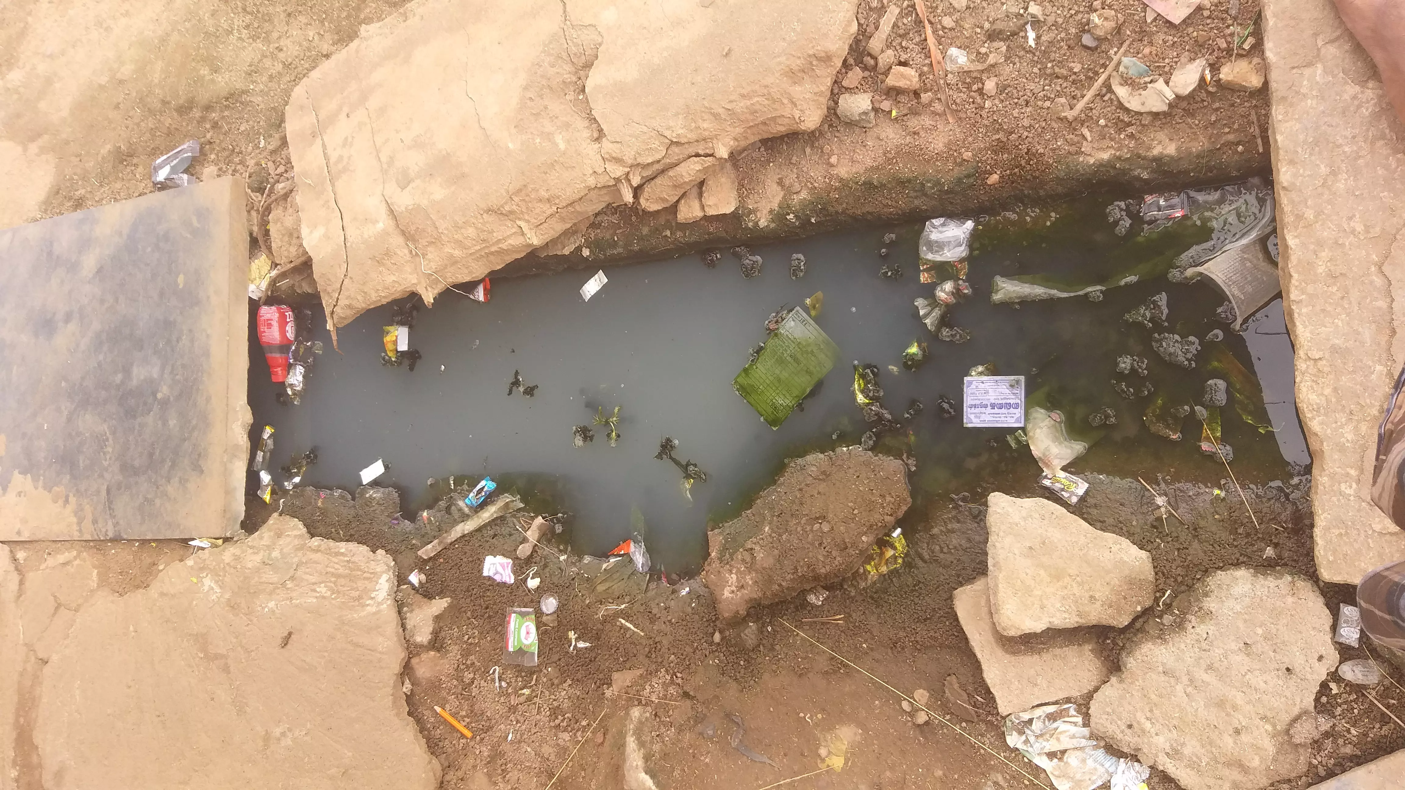 தூர்வாரப்படாத கழிவுநீர் வாய்க்கால் தூர்வாரப்படாத கழிவுநீர் வாய்க்கால்