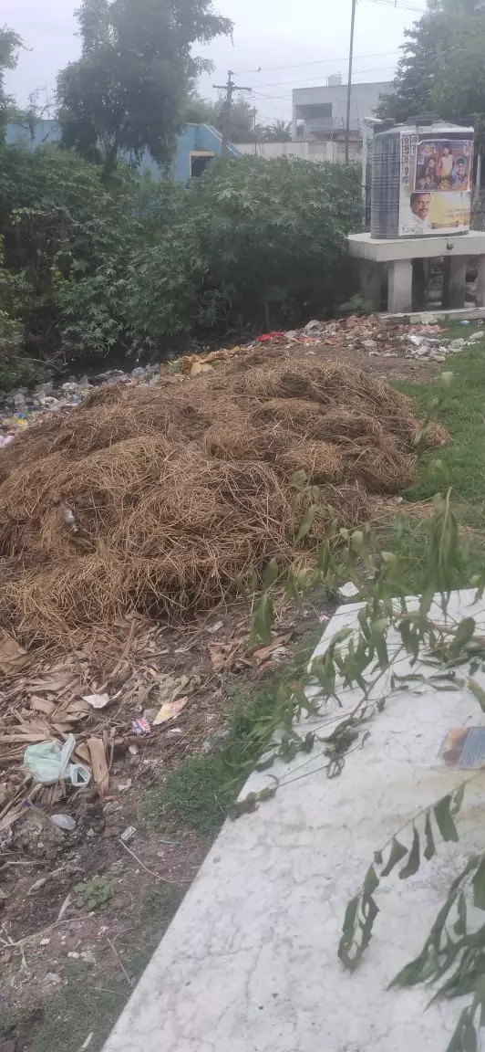 குவிந்து கிடக்கும் வைக்கோல்கள்