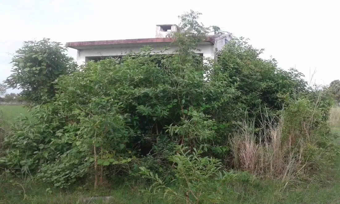 புதர் மண்டி காணப்படும் தகனமேடை