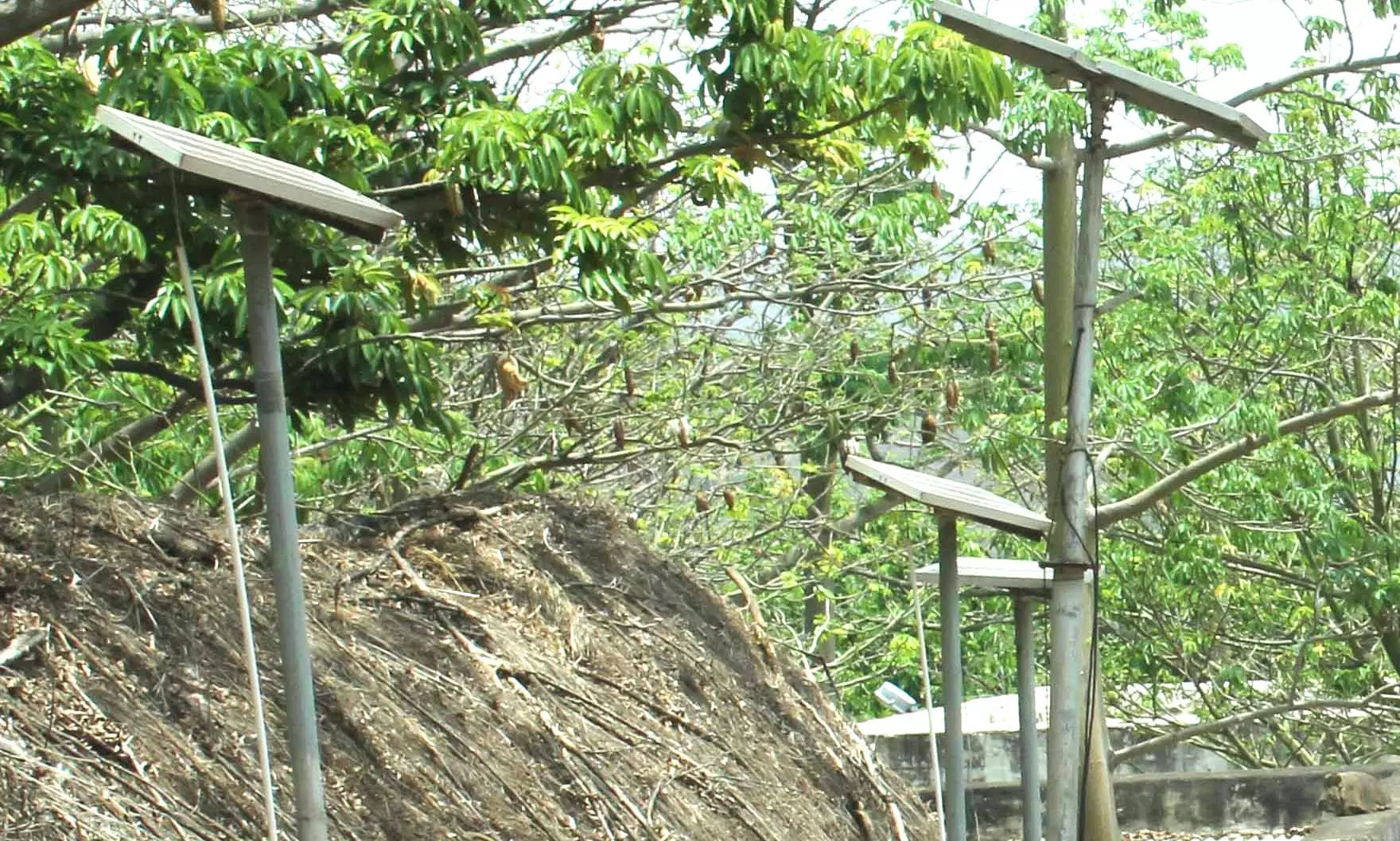 சோலார் விளக்குகள் பழுதால் அவதி