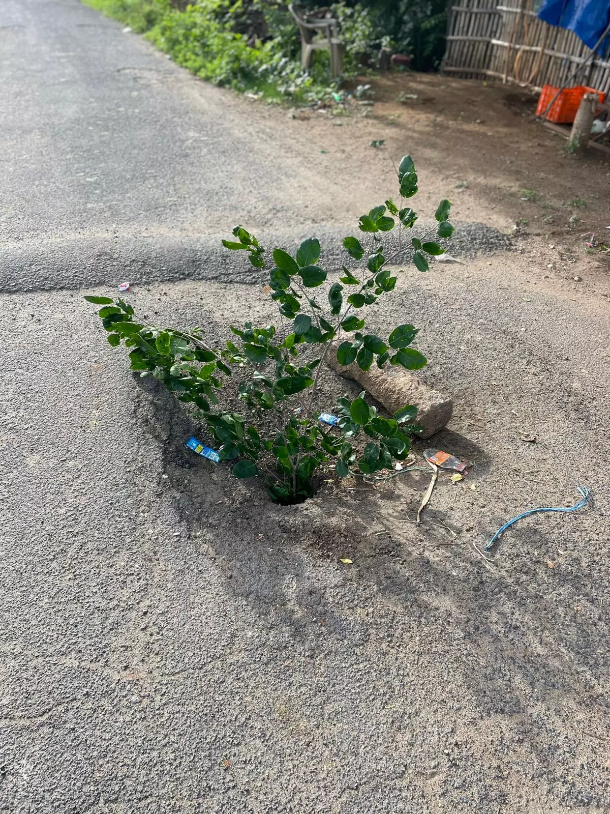 பாலத்தில் குழி