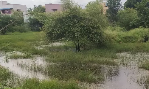 கால்வாயை தூர்வாரி கழிவுநீரை வடிய வைக்க வேண்டும் கால்வாயை தூர்வாரி கழிவுநீரை வடிய வைக்க வேண்டும்