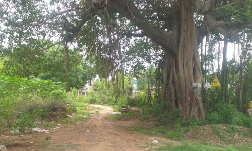 புதிய தார்ச்சாலை அமைக்கப்படுமா?