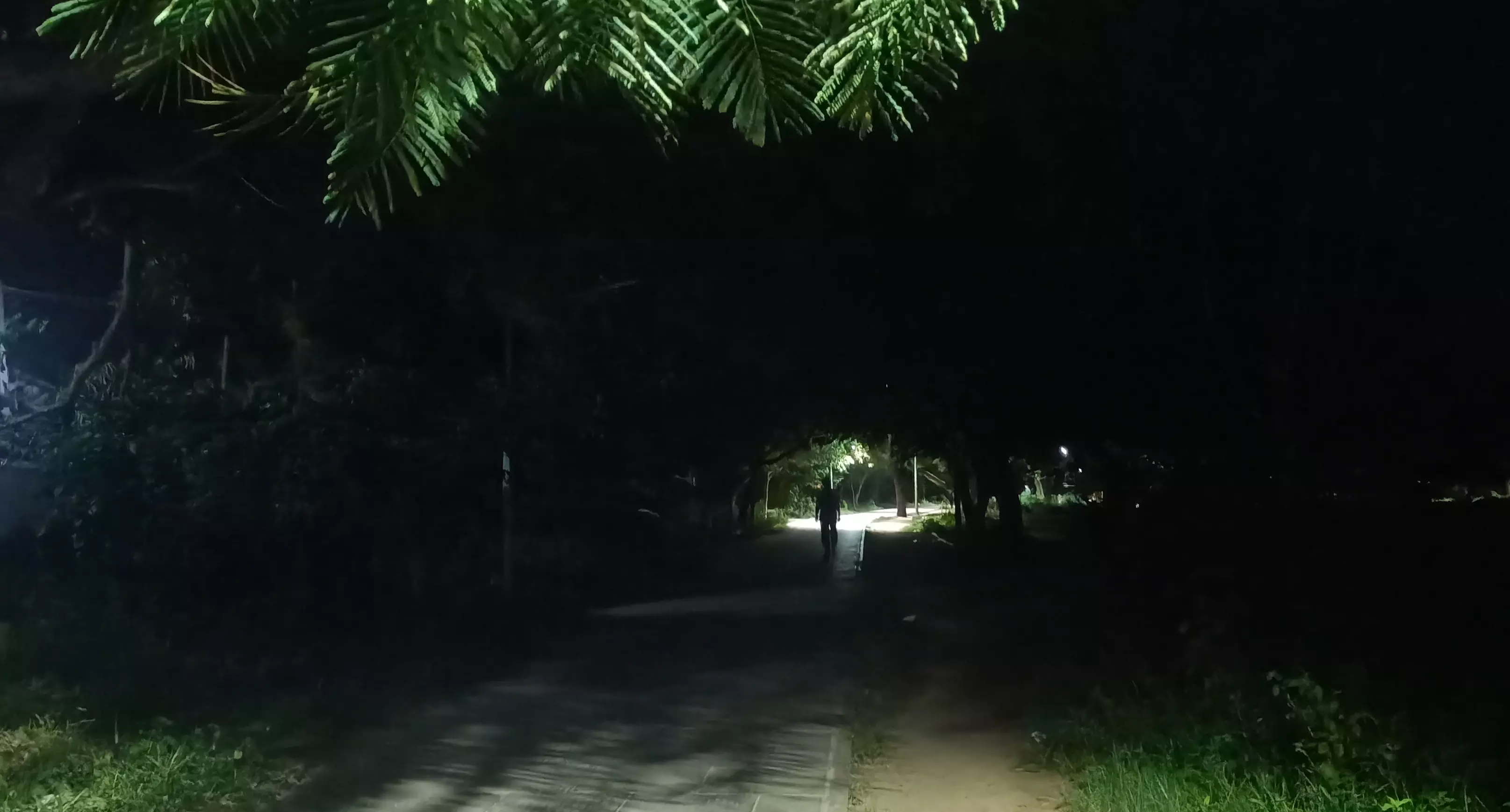 அச்சத்துடன் நடைபயிற்சி மேற்கொள்ளும் பெண்கள் அச்சத்துடன் நடைபயிற்சி மேற்கொள்ளும் பெண்கள்