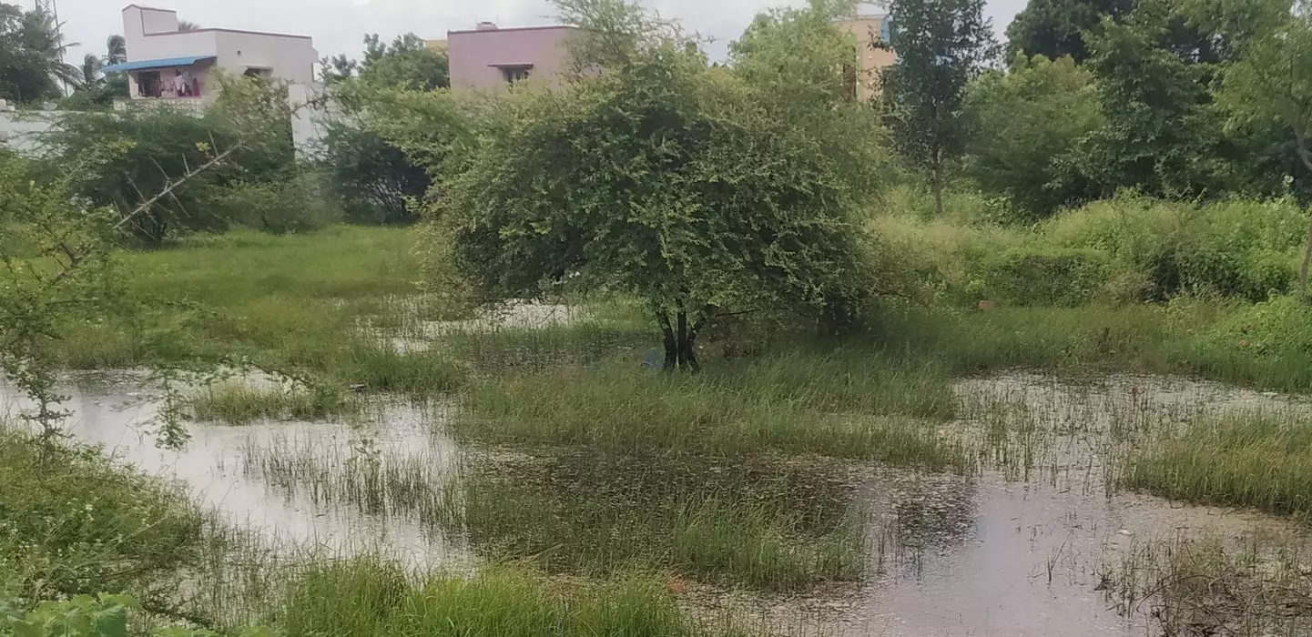 கால்வாயை தூர்வாரி கழிவுநீரை வடிய வைக்க வேண்டும் கால்வாயை தூர்வாரி கழிவுநீரை வடிய வைக்க வேண்டும்