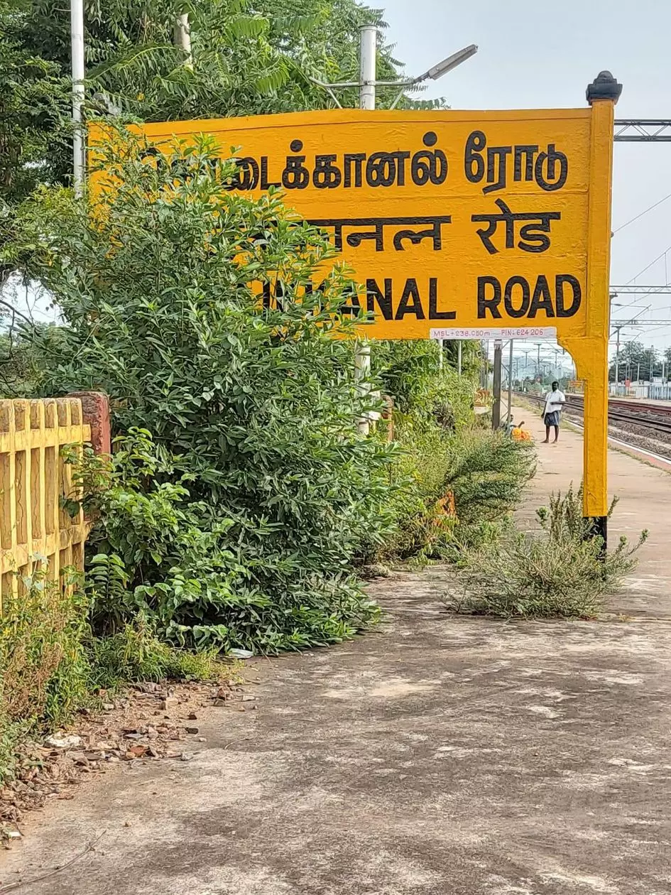 பெயர் பலகையை மறைக்கும் செடி-கொடிகள்