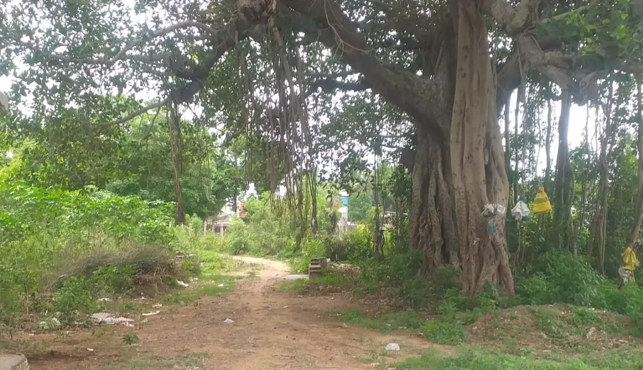 புதிய தார்ச்சாலை அமைக்கப்படுமா?