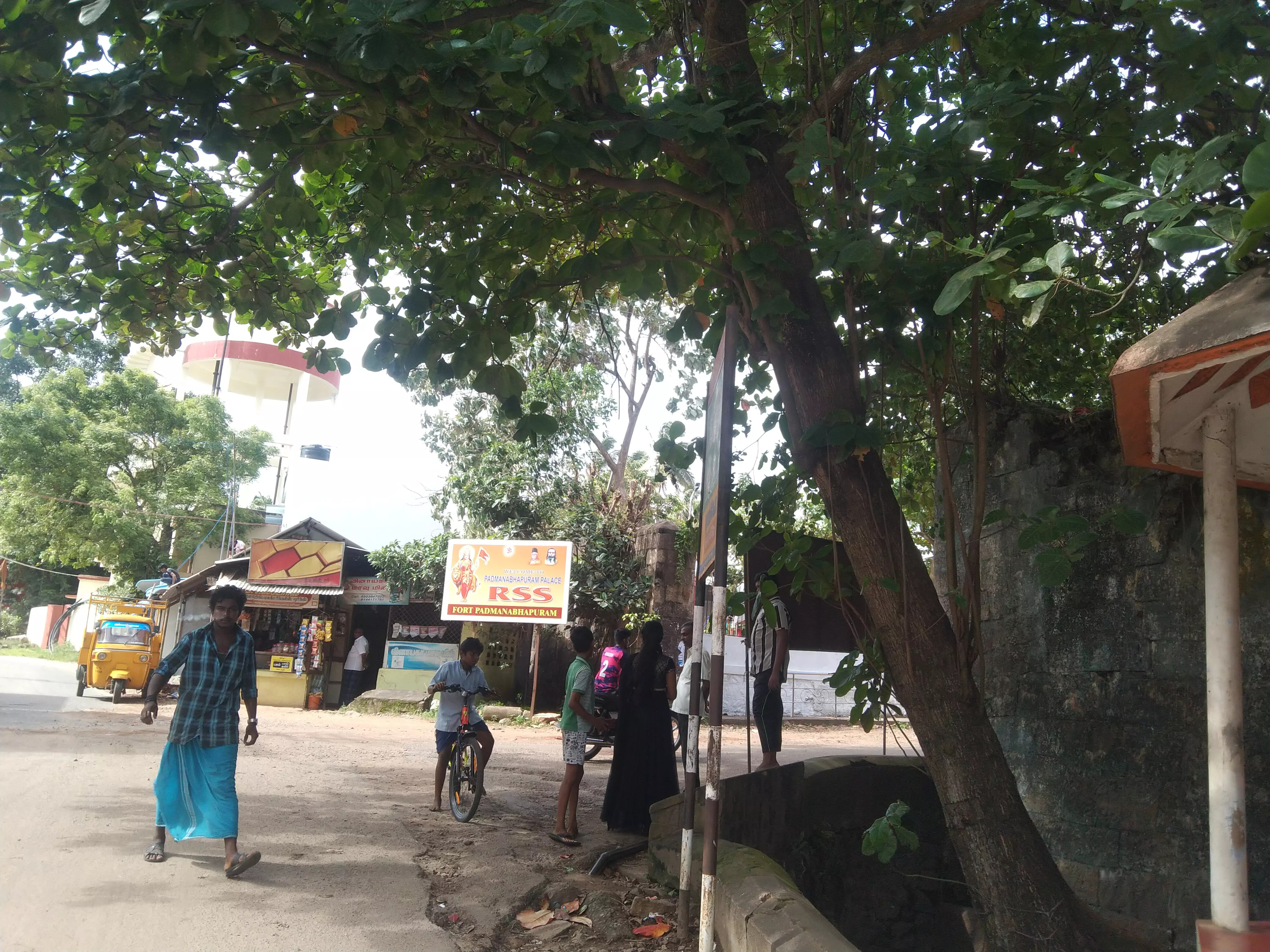 ஆபத்தான மரம்