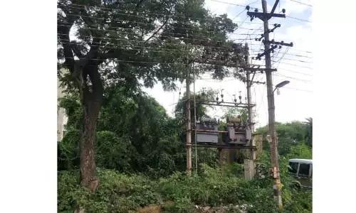 டிரான்ஸ்பார்மரை சூழ்ந்த புதர்கள் அகற்றப்படுமா? டிரான்ஸ்பார்மரை சூழ்ந்த புதர்கள் அகற்றப்படுமா?