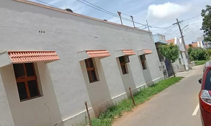 ஆபத்தான மரங்கள் வெட்டி அகற்றம்