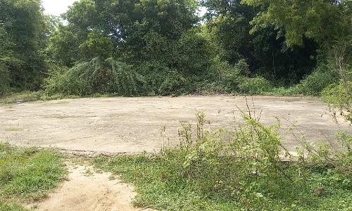 பயனற்ற தானிய உலர் களம் பயனற்ற தானிய உலர் களம்