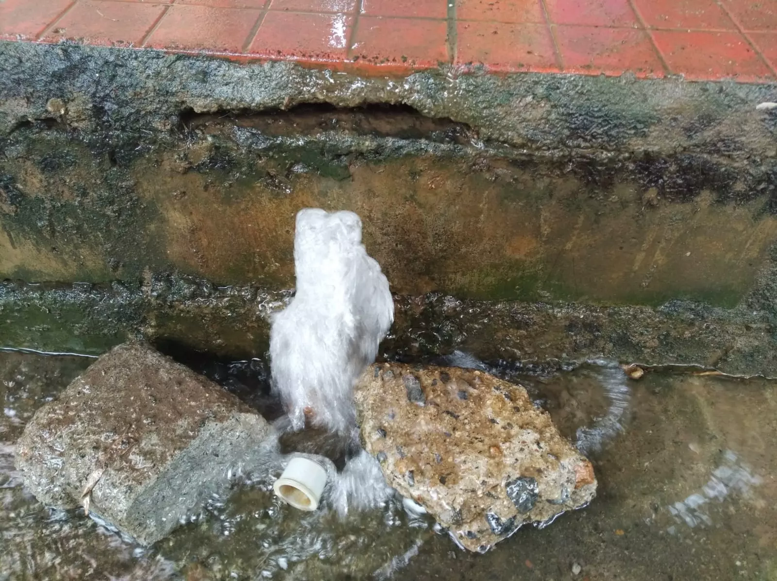 வீணாகும் குடிநீர் வீணாகும் குடிநீர்