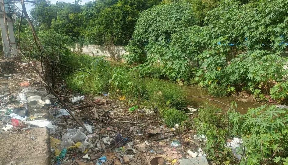 வஞ்சி ஓடையில் கலக்கும் கழிவுநீர் வஞ்சி ஓடையில் கலக்கும் கழிவுநீர்