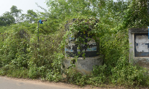 செடி, கொடிகள் சூழ்ந்த தண்ணீர் தொட்டி செடி, கொடிகள் சூழ்ந்த தண்ணீர் தொட்டி