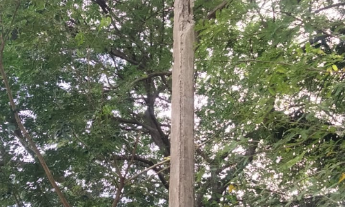 சேதமடைந்த மின் கம்பம்